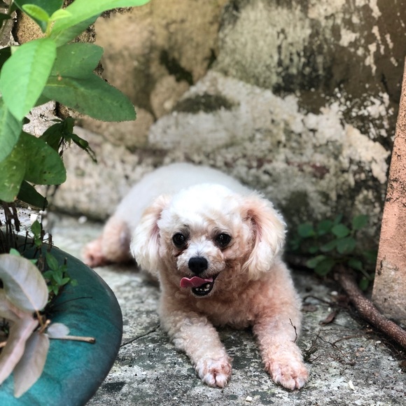 Meet your Posher, Kristen - Picture 1 of 1